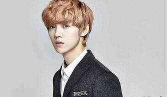 爆料鹿晗炒作事件视频下载,揭秘背后真相与争议  第2张